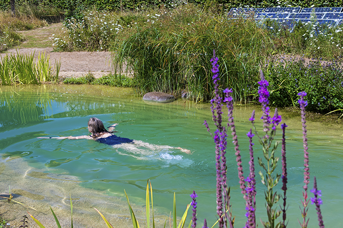 Biological Pool